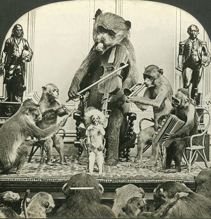 Example of a wigglegram with taxidermy monkeys