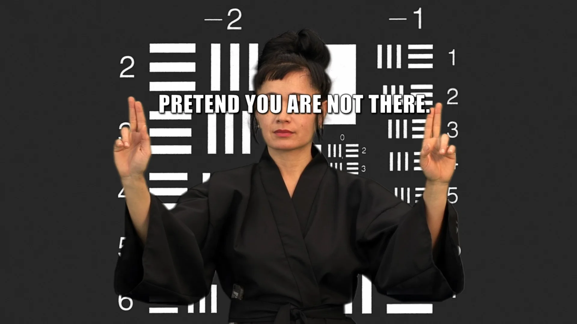 Hito Steyerl