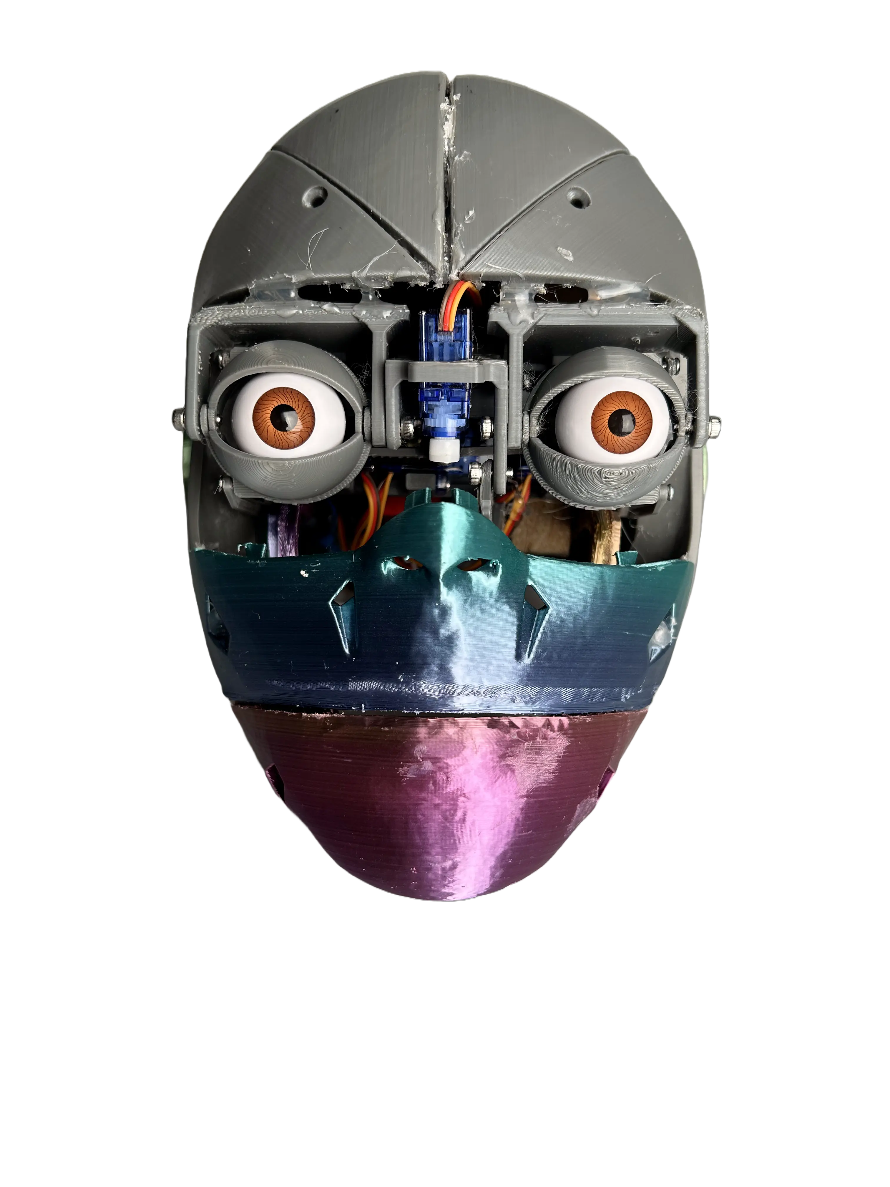 Am.I. Skull